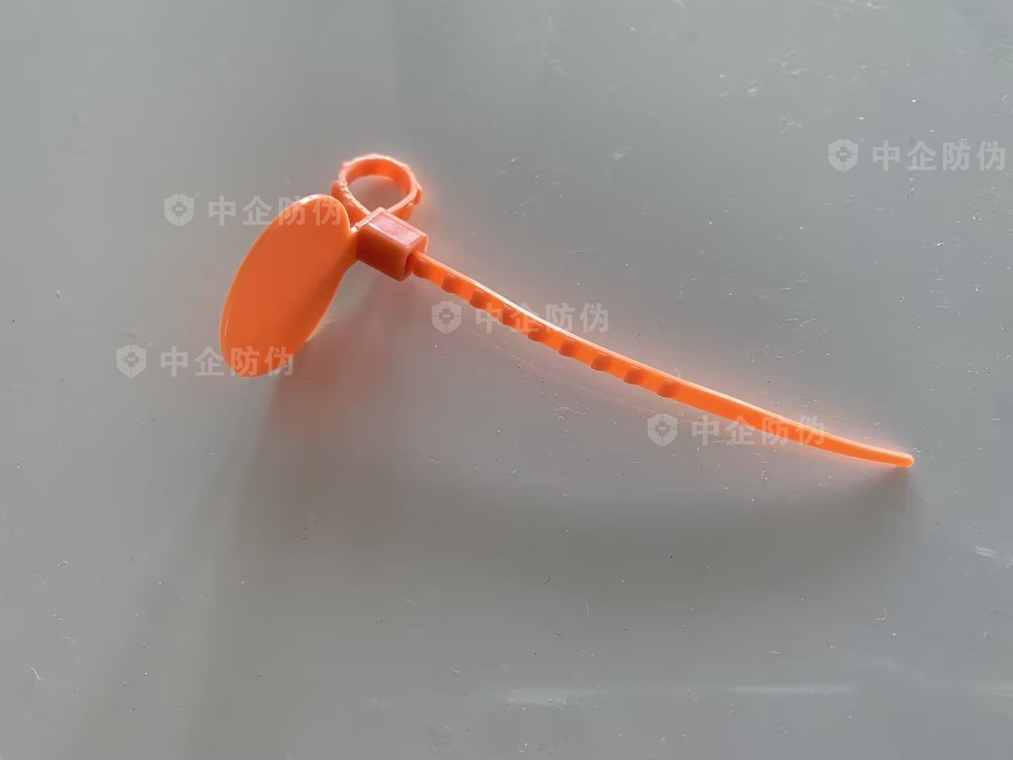 0aeb62a0-d26a-4de4-9b1c-f1c3071b55a2.jpg
