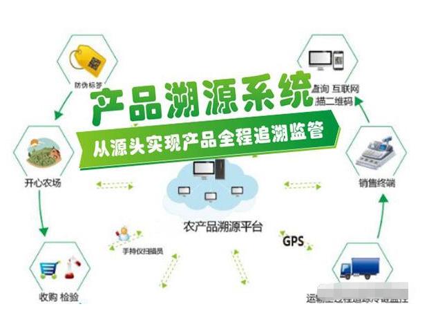 d82ddd6478f41e80ace2bab0c643702c.jpg