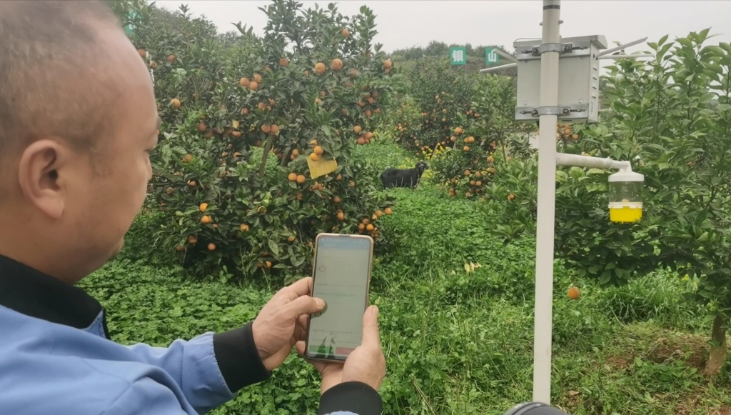 1767844613478561.jpg 15818b69fdbf9367b66a985aa94774b2_QYqgx0DEDel0PGTdSR813gH3wrZp2mWfQlP.jpg