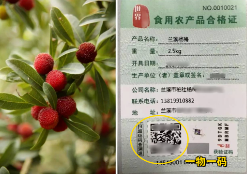 企业微信截图_17794358287742.png